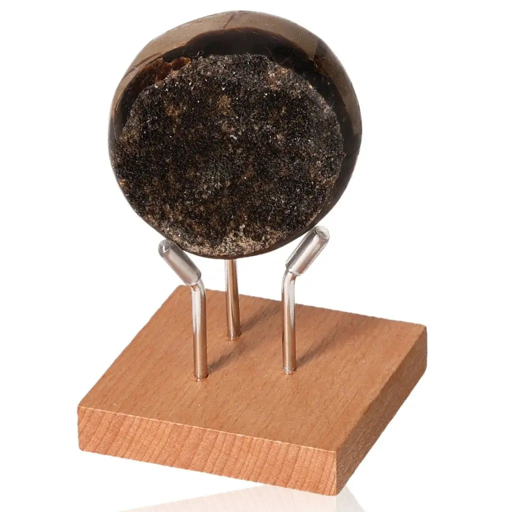 Polished septarian "Dragon Stone" displayed on a wooden stand, showcasing its unique mineral texture and earthy colors.