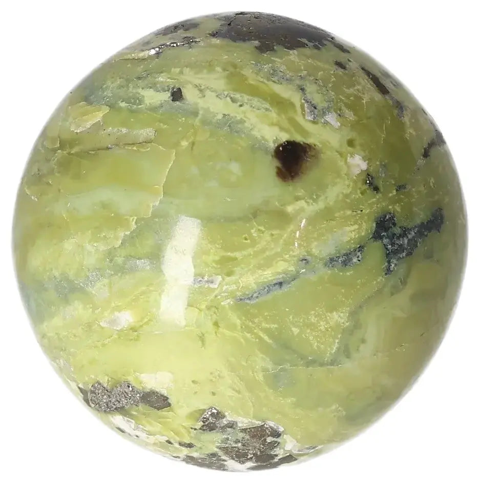 orbitvu|type:image2d