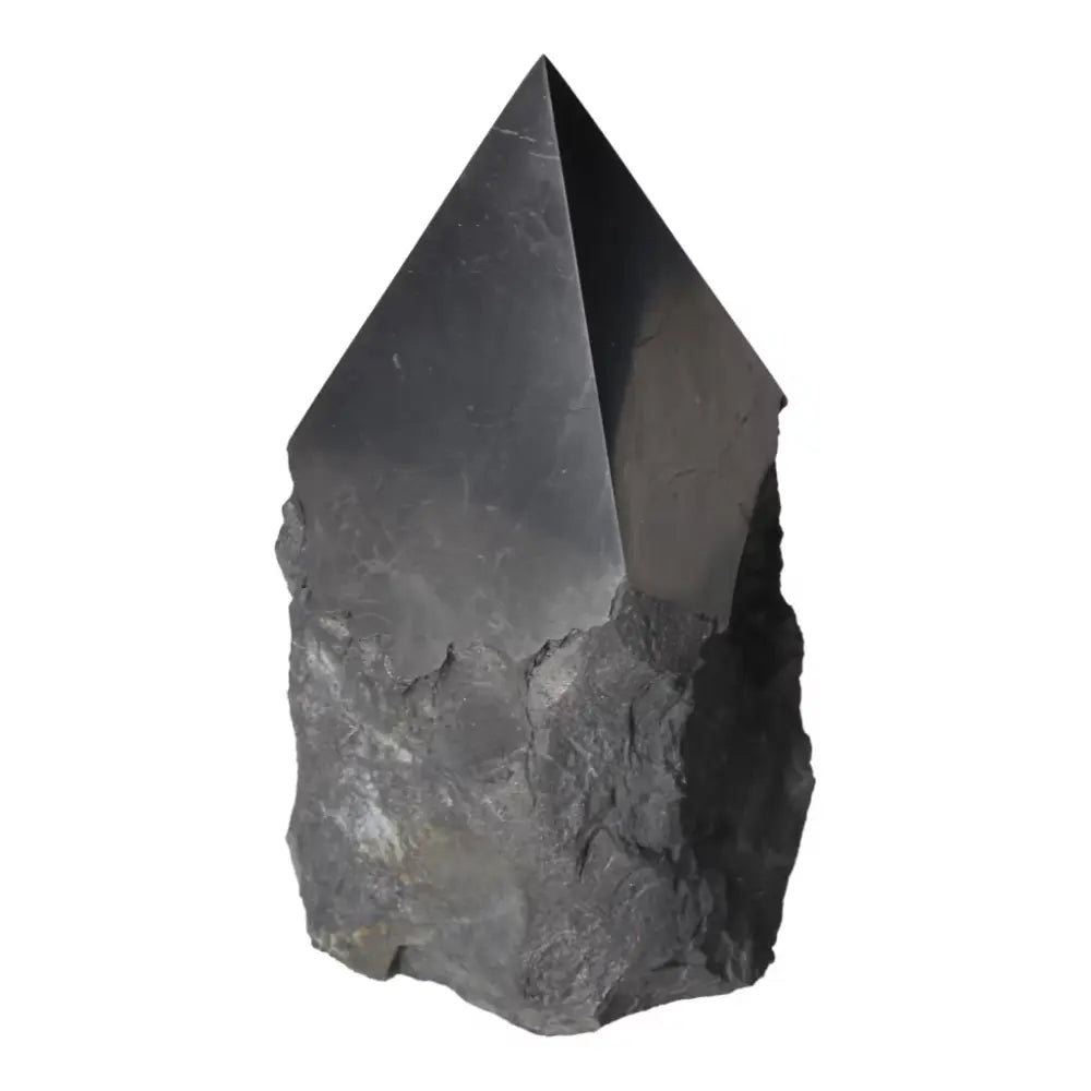 orbitvu|type:ORBITVU 360|https://orbitvu.co/share/6Uwq8LrCSmWXwaFxcS3R8j/6635438/360/iframe