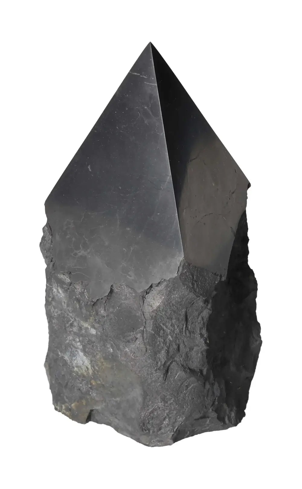 orbitvu|type:image2d