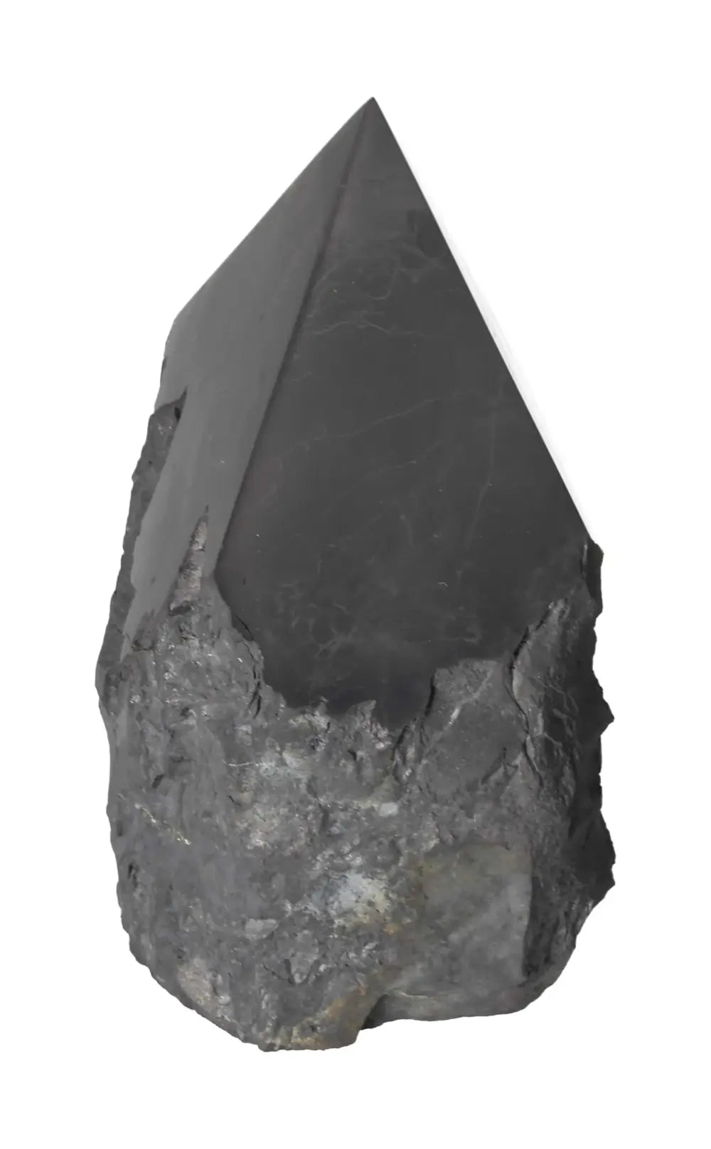 orbitvu|type:image2d