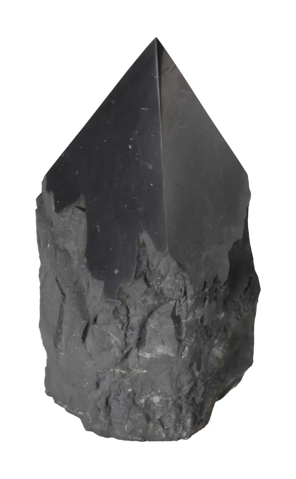 orbitvu|type:image2d