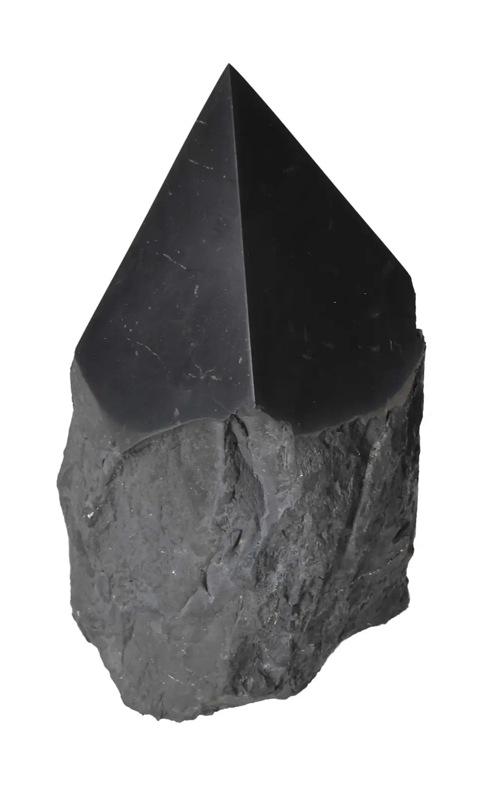 orbitvu|type:image2d