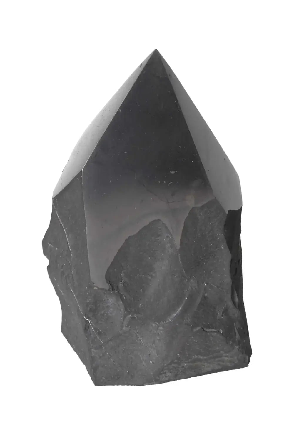 orbitvu|type:image2d