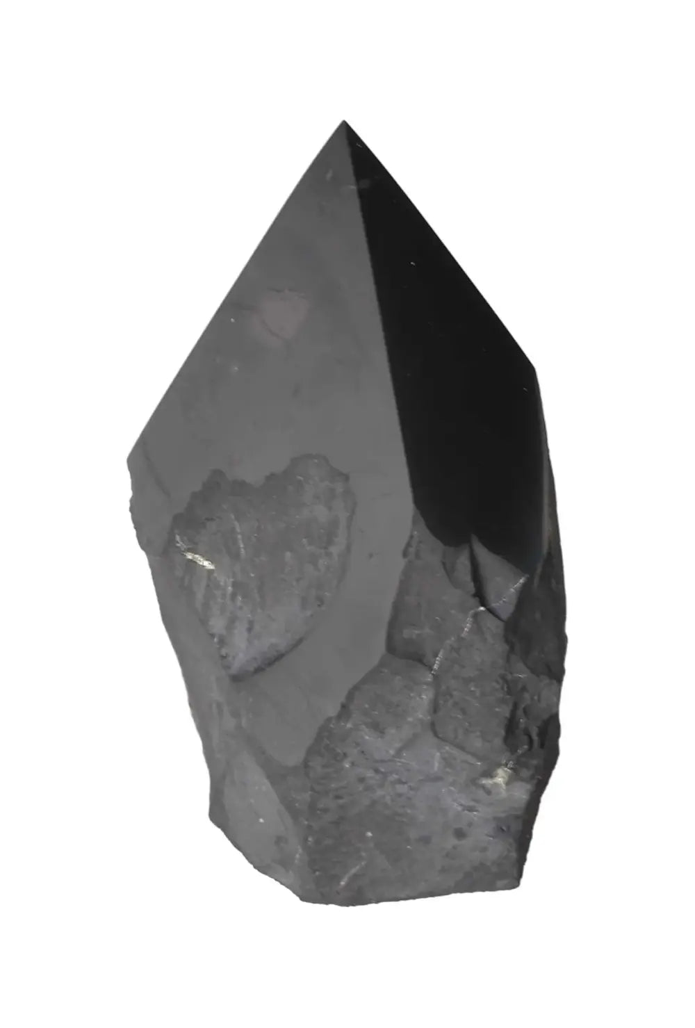 orbitvu|type:image2d