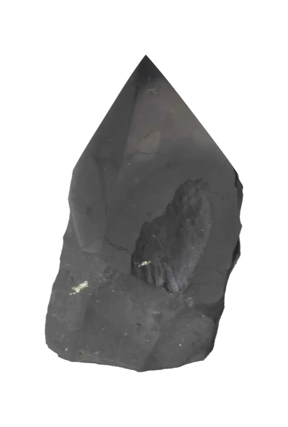 orbitvu|type:image2d