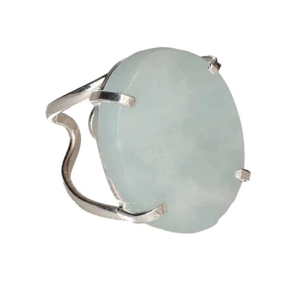 orbitvu|type:image2d