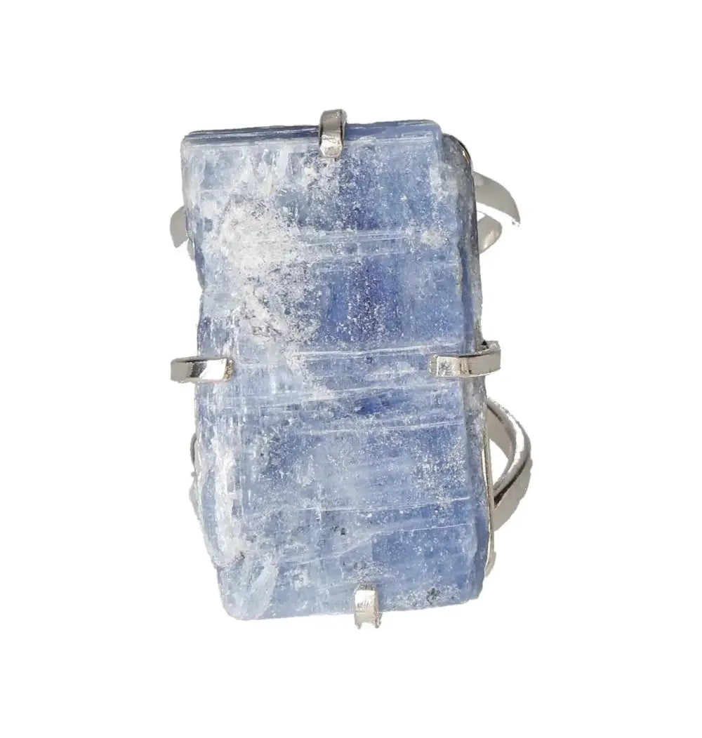 orbitvu|type:image2d