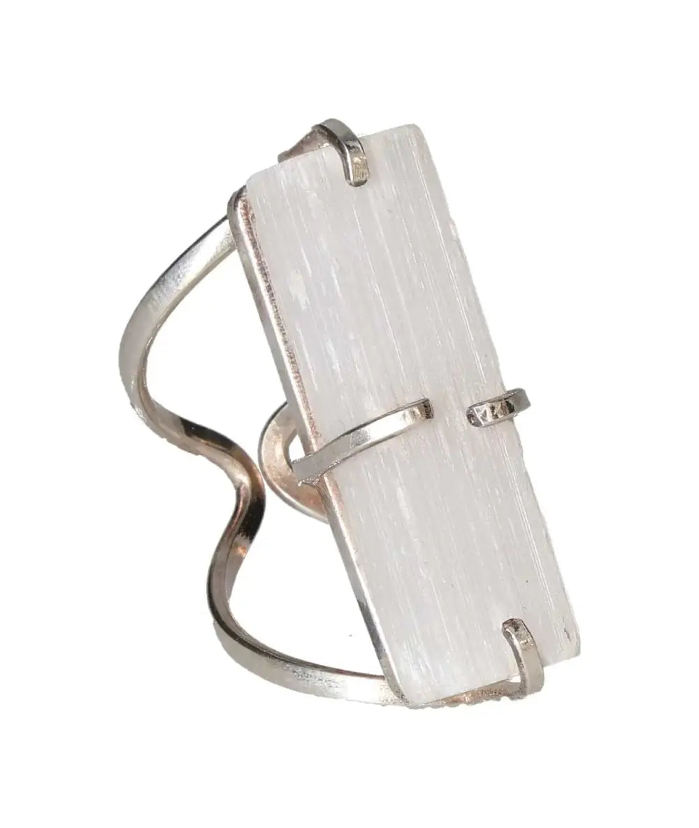 orbitvu|type:image2d