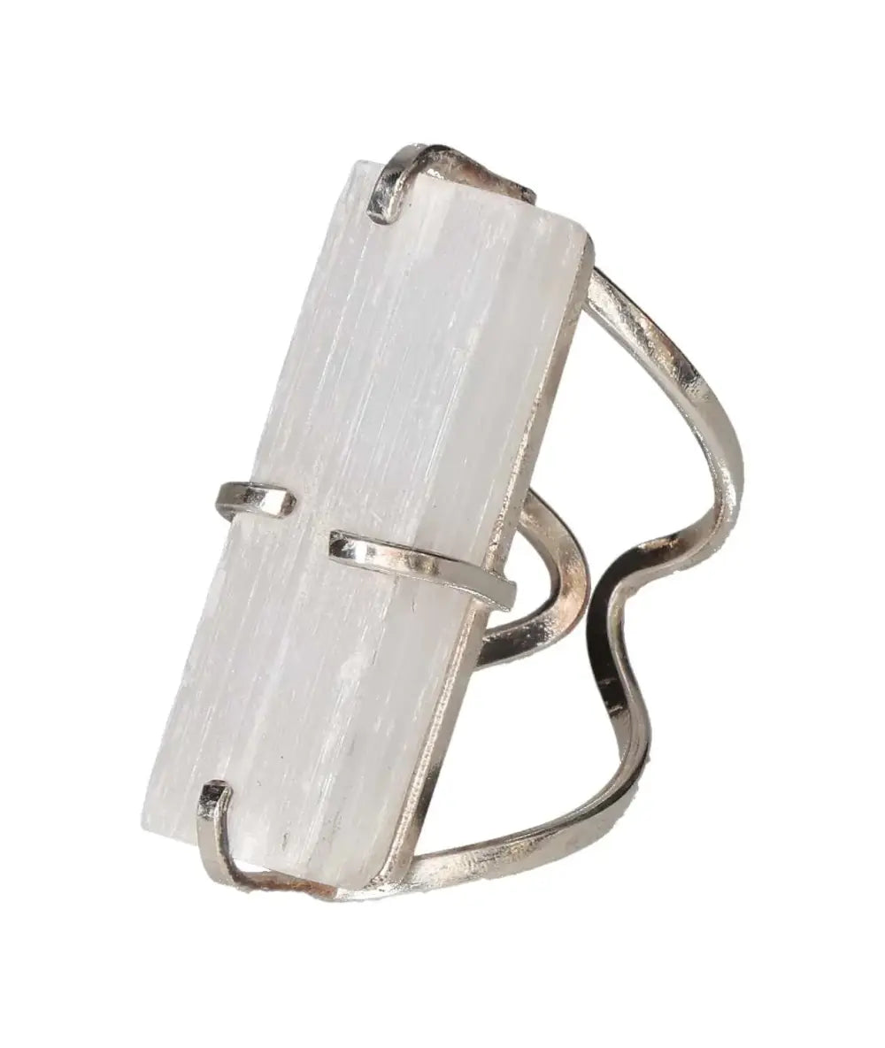 orbitvu|type:image2d