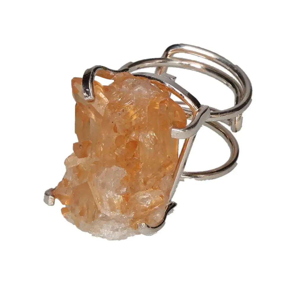 orbitvu|type:image2d