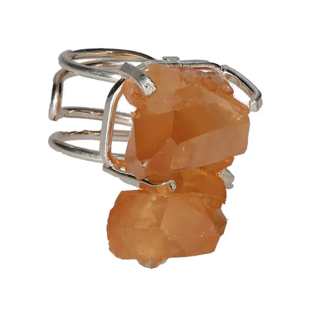 orbitvu|type:image2d