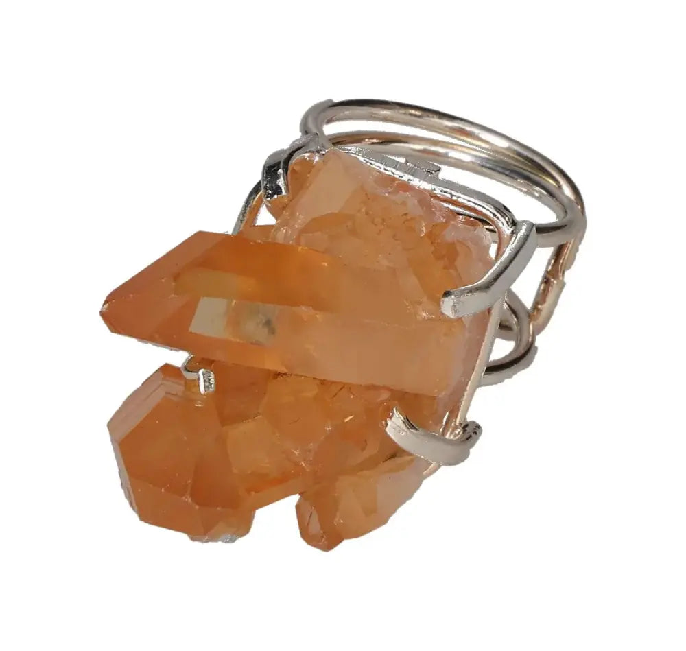 orbitvu|type:image2d