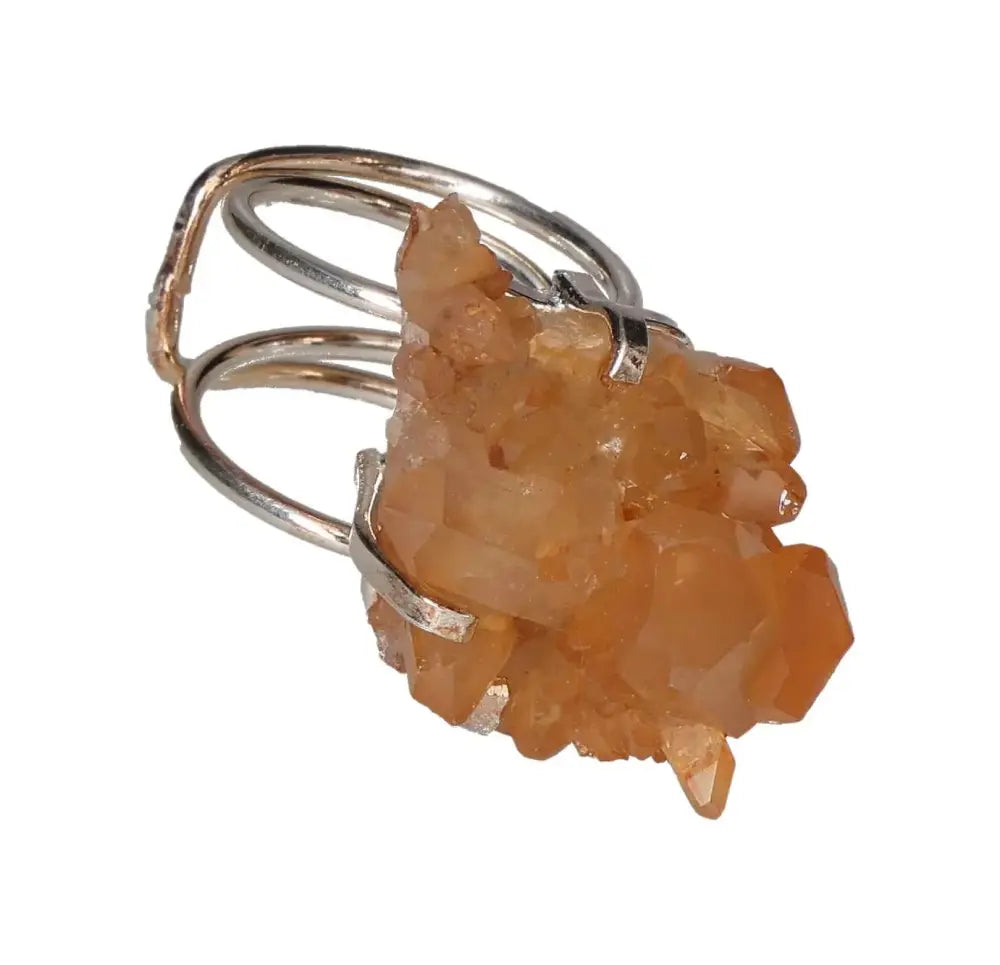 orbitvu|type:image2d