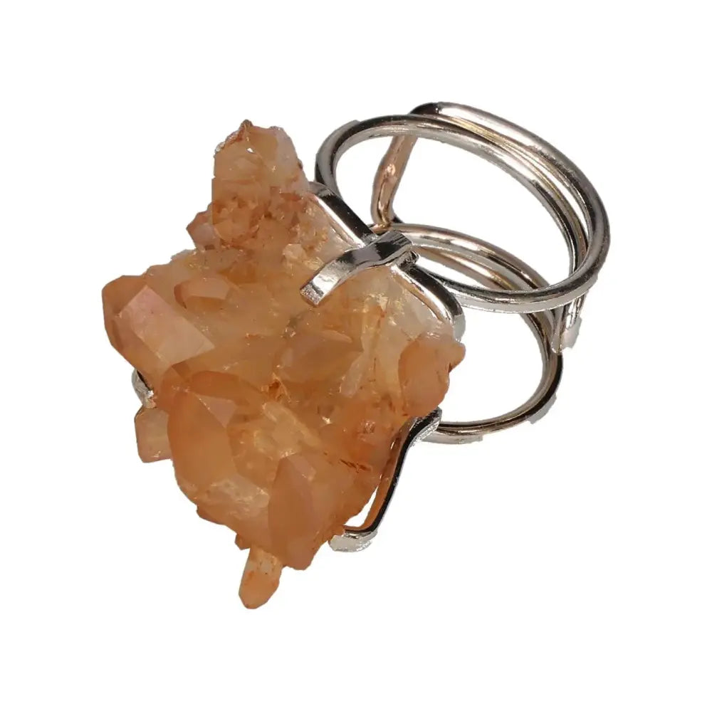 orbitvu|type:image2d