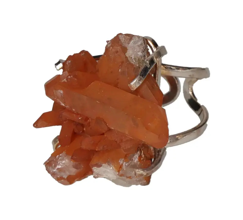 orbitvu|type:image2d