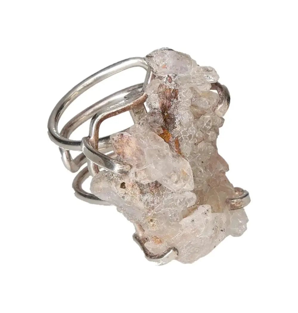 orbitvu|type:image2d