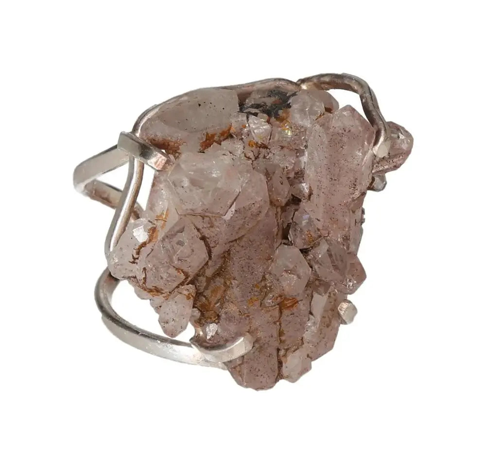 orbitvu|type:image2d