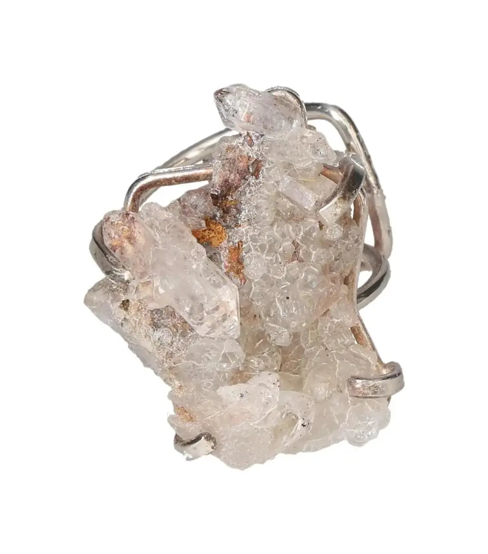 orbitvu|type:image2d