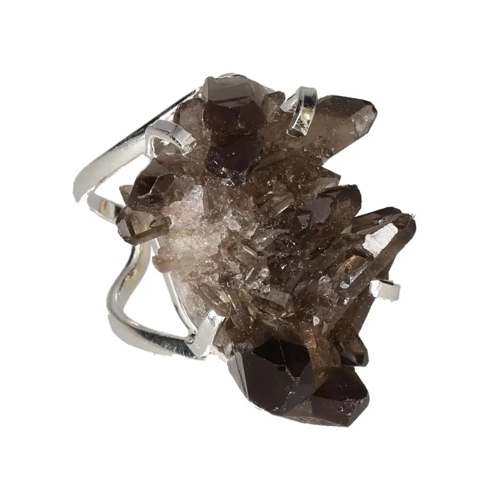 orbitvu|type:image2d