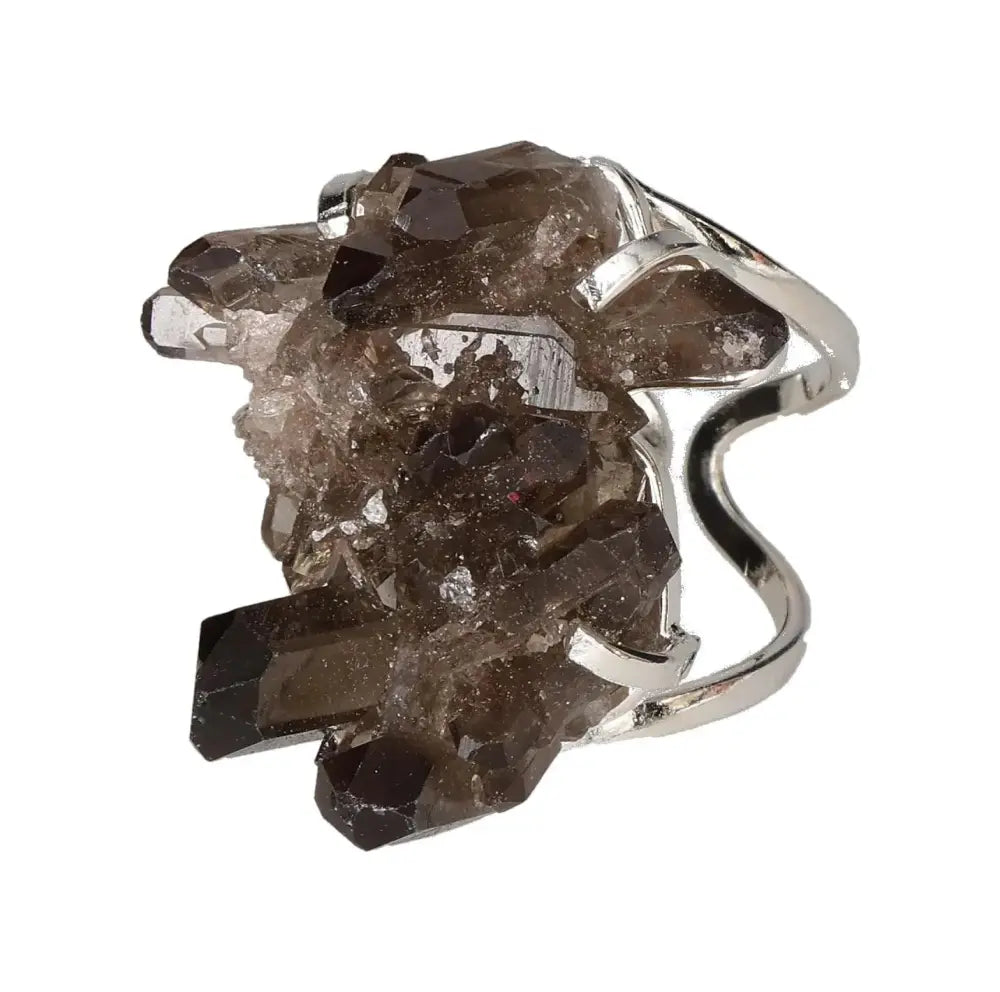 orbitvu|type:image2d