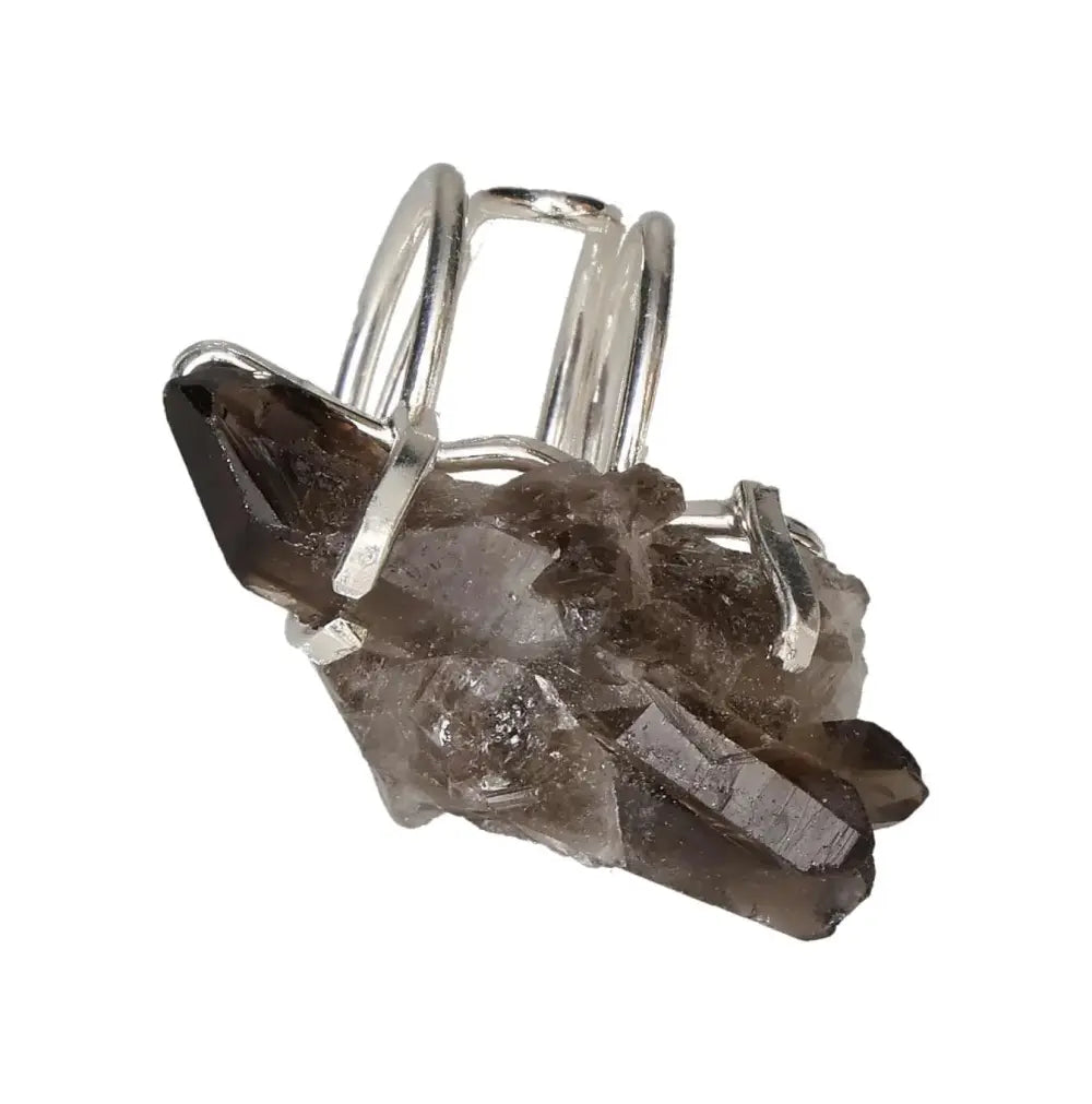 orbitvu|type:image2d