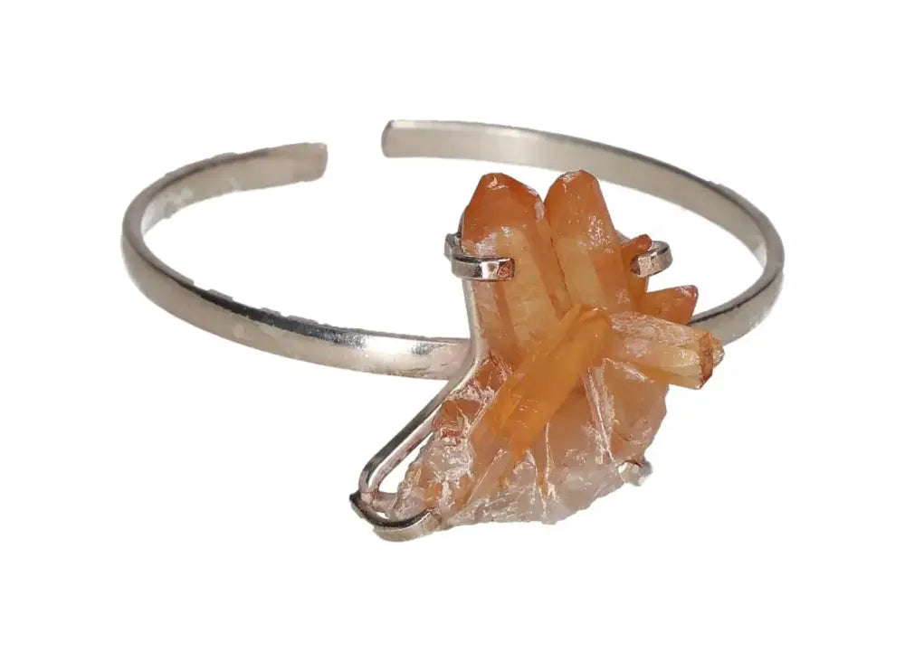 orbitvu|type:image2d