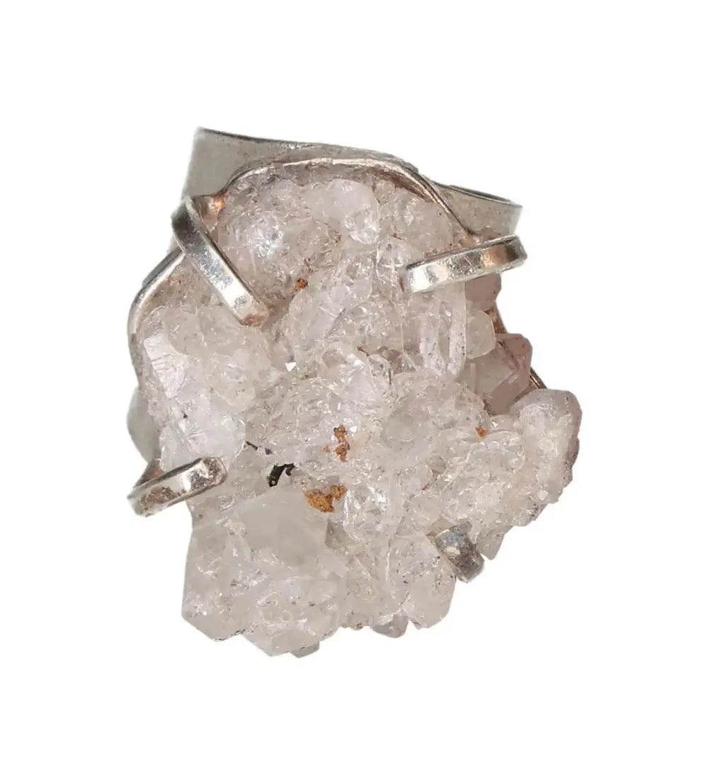 orbitvu|type:image2d