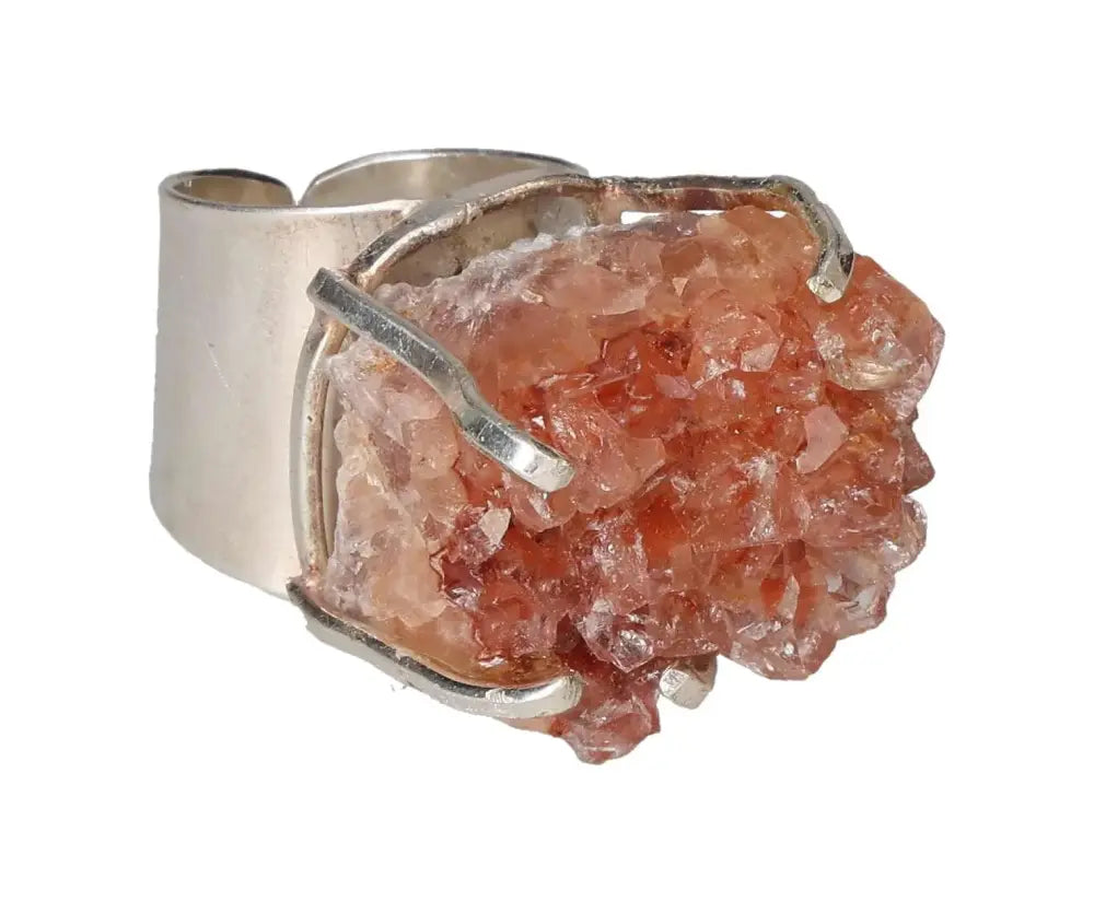 orbitvu|type:image2d