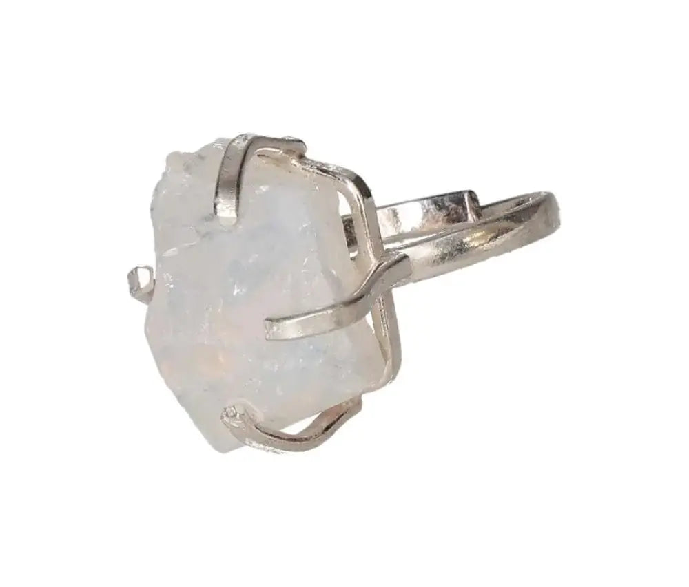 orbitvu|type:image2d