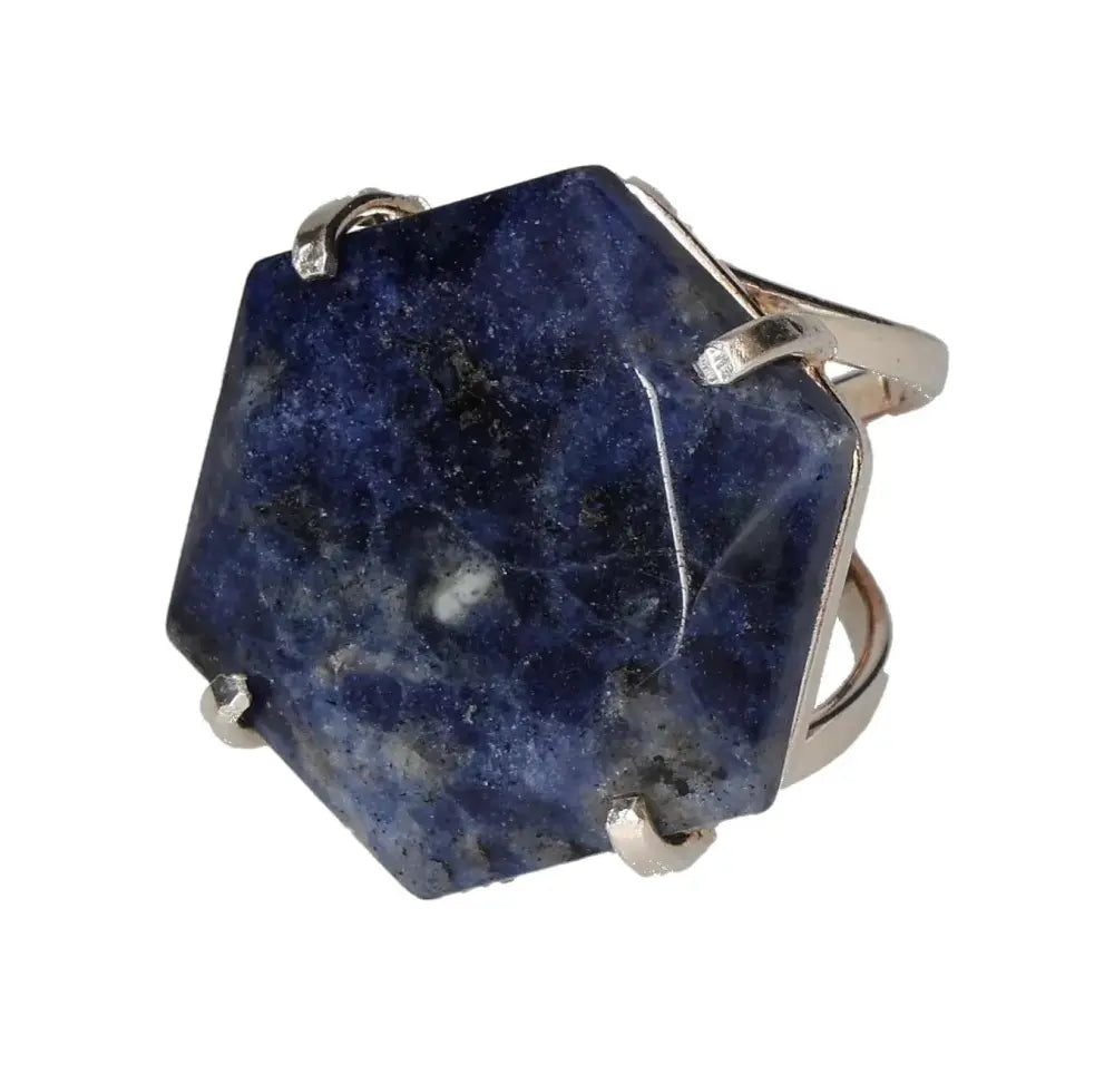 orbitvu|type:image2d