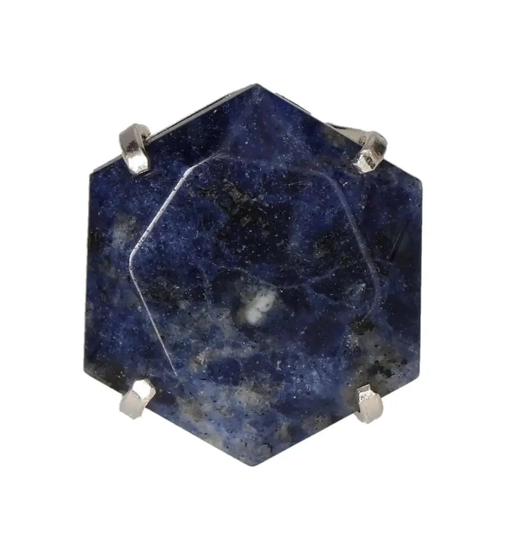 orbitvu|type:image2d