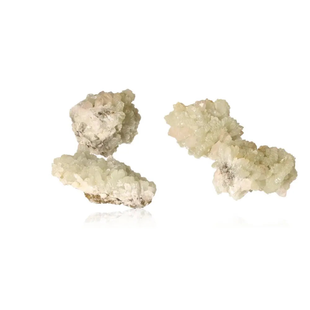 Small Prehnite druzy crystals, pale green, known for calming properties and spiritual growth, displayed on a white background.