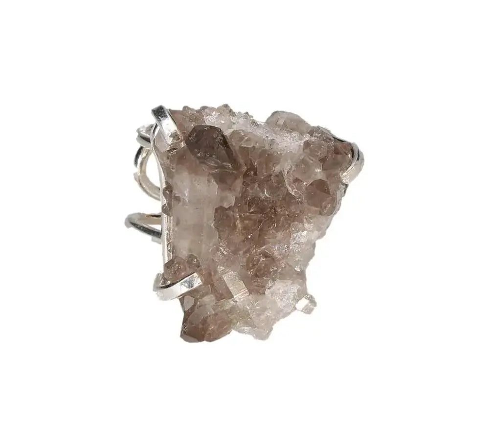 orbitvu|type:image2d