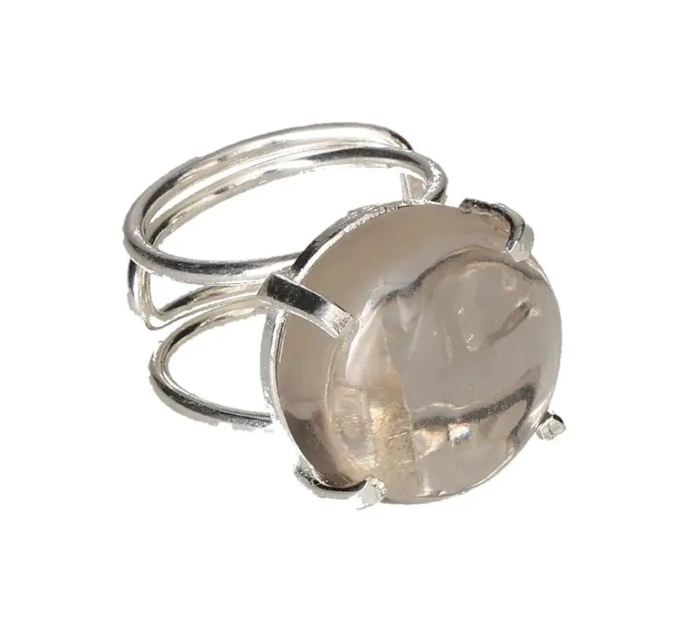 orbitvu|type:image2d