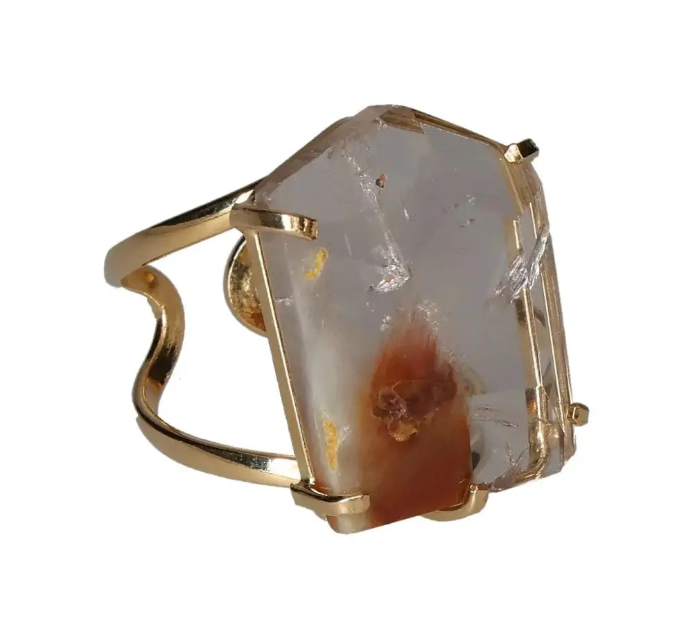 orbitvu|type:image2d