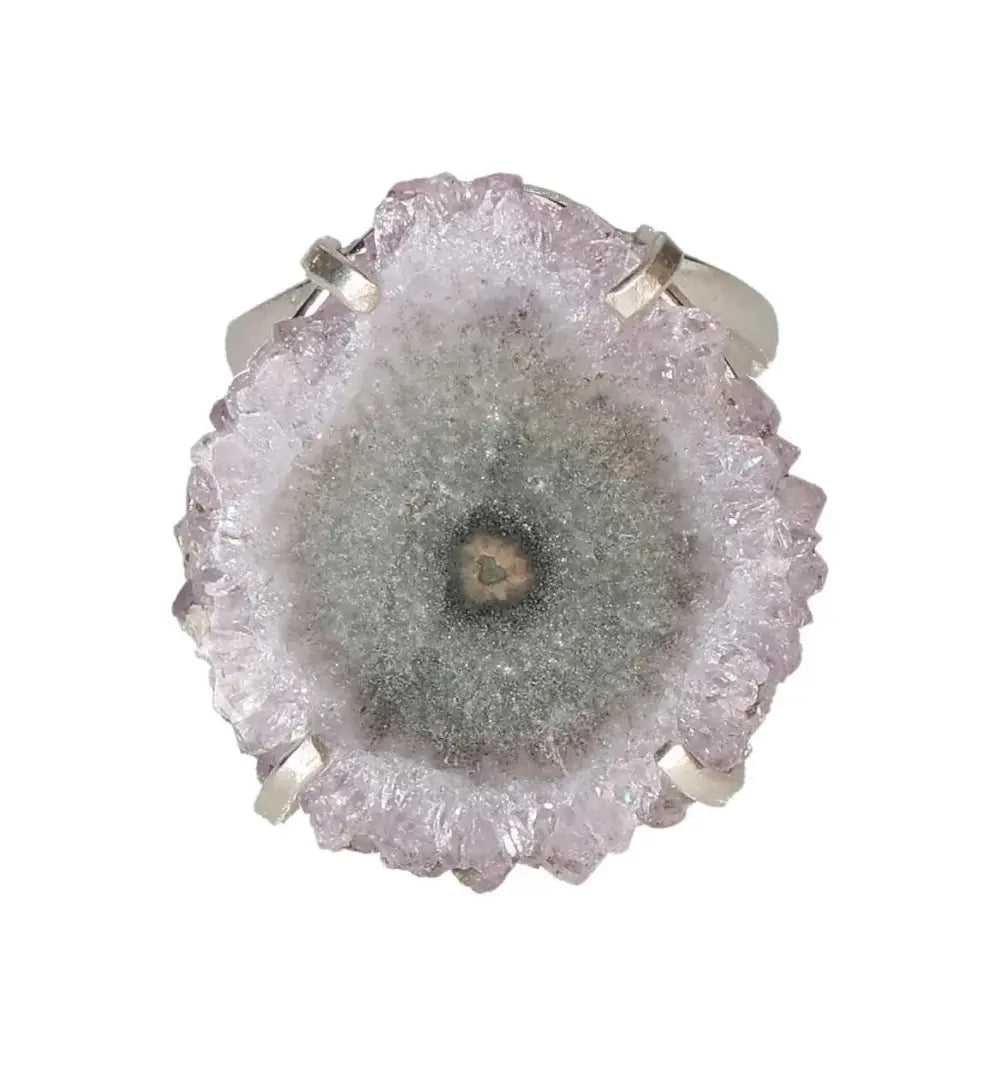 orbitvu|type:image2d