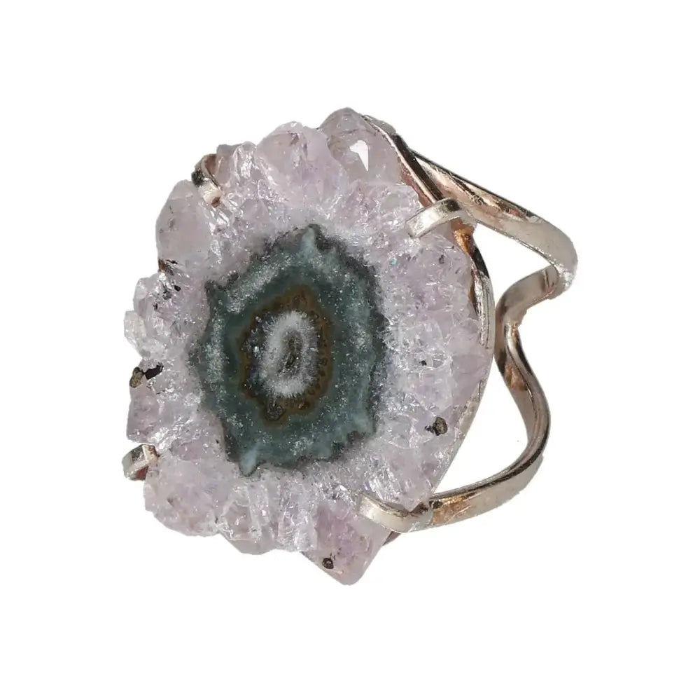 orbitvu|type:image2d