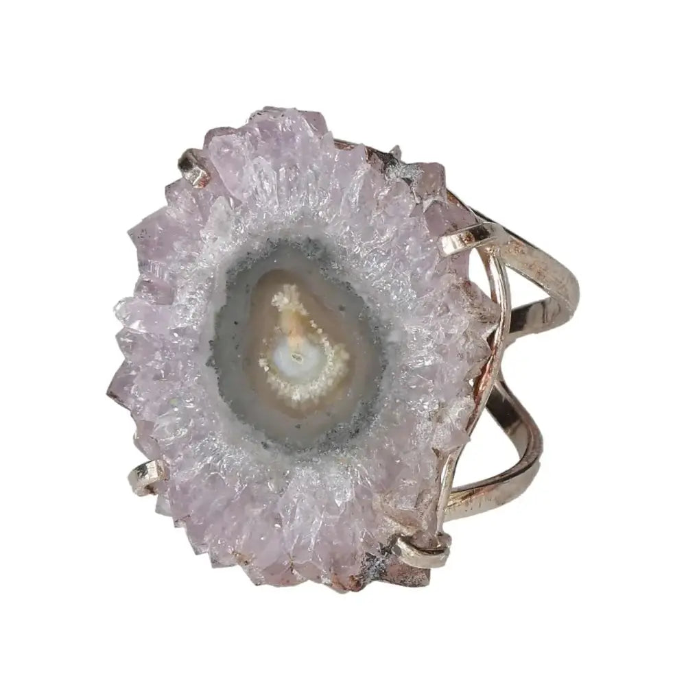 orbitvu|type:image2d