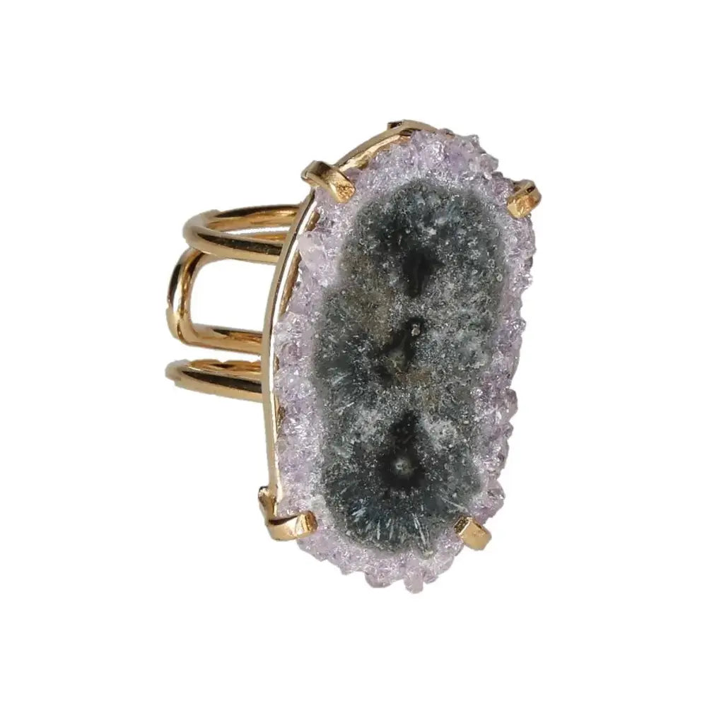 orbitvu|type:image2d