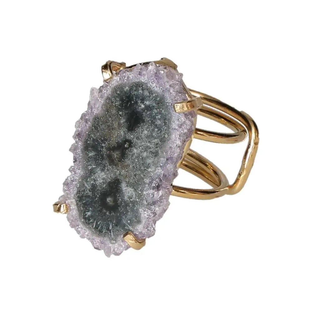 orbitvu|type:image2d