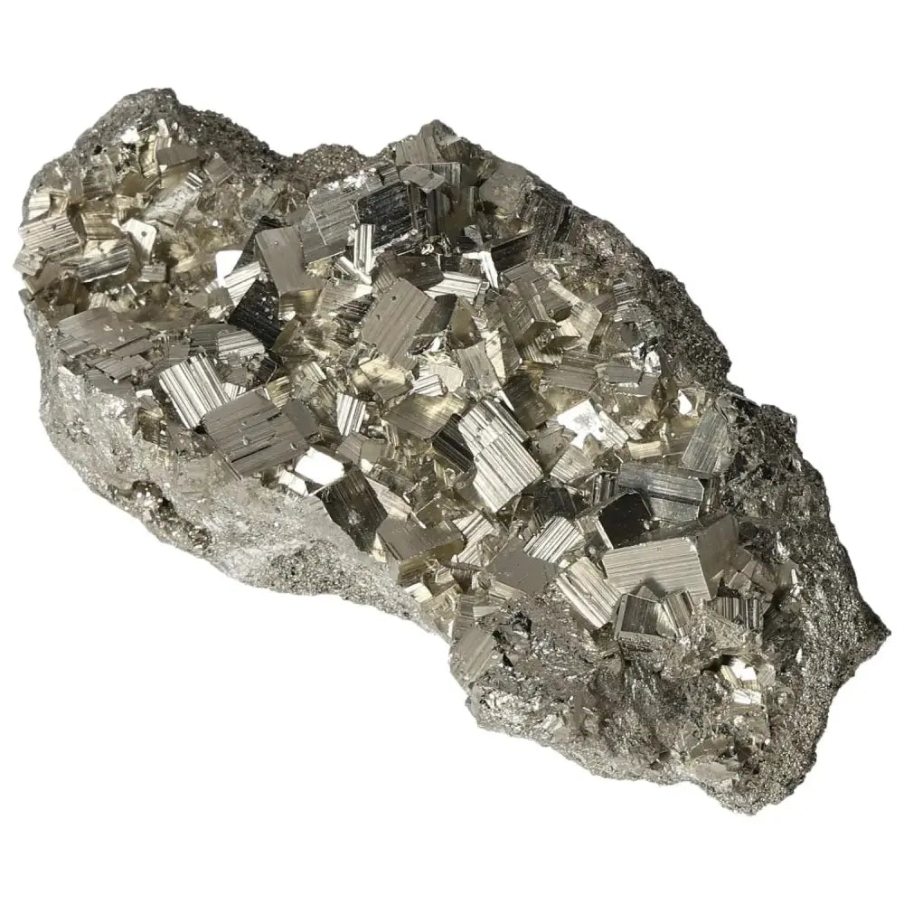 orbitvu|type:image2d