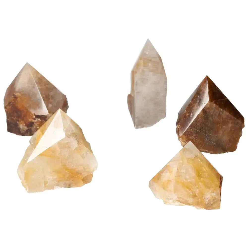 Collection of Top Polished Hematoide L crystals in red and orange hues from Sylvia Crystals, showcasing elegance and artisanal craftsmanship.