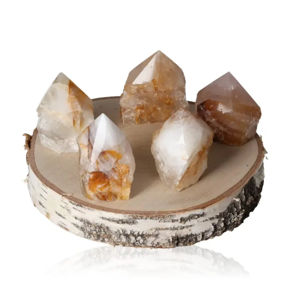 orbitvu|type:ORBITVU 360|https://orbitvu.co/share/ocC3sMHMSuNg8K5K5KNwrS/6458702/360/iframe