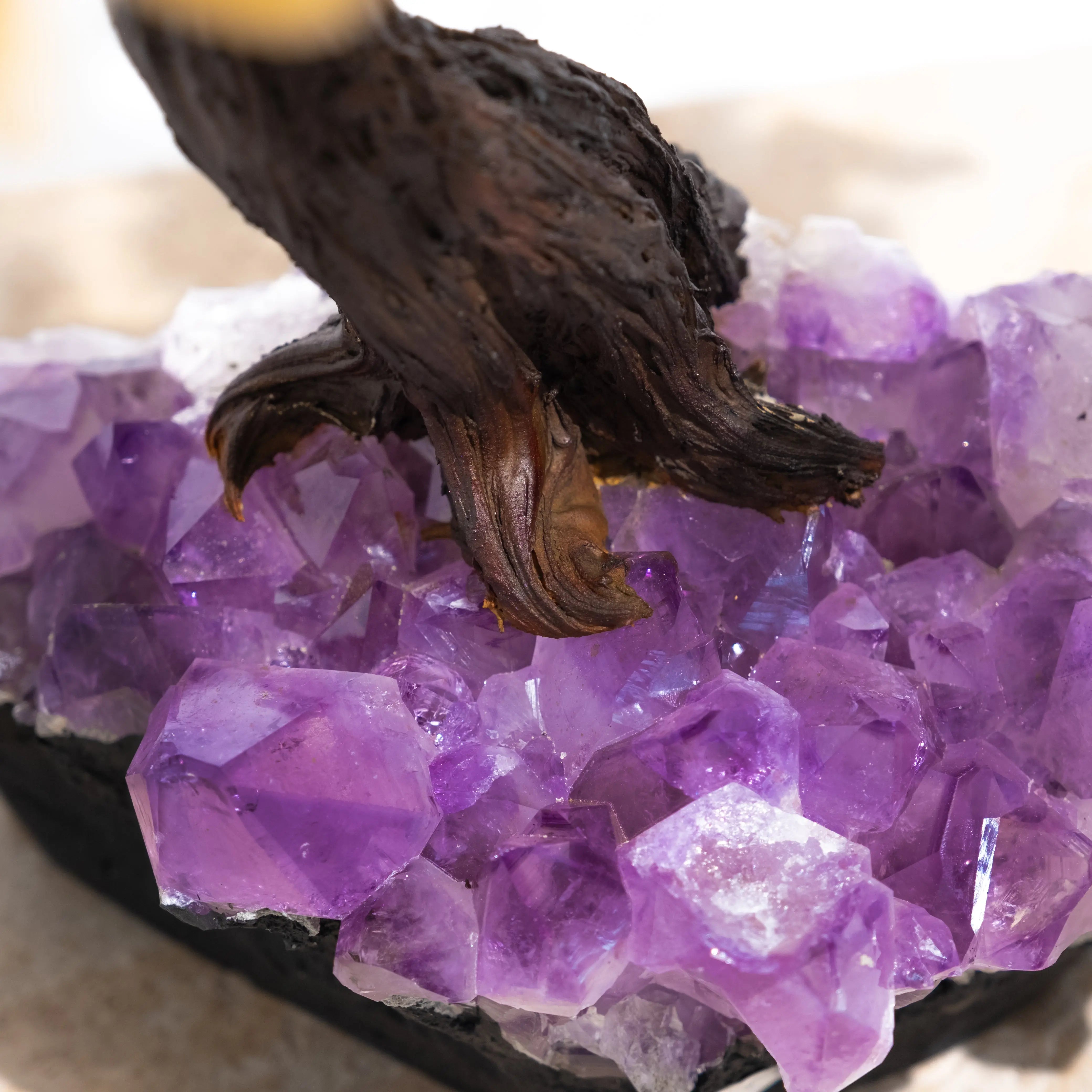 Close-up of a bonsai tree base with vibrant purple crystals, showcasing detailed texture and natural beauty.