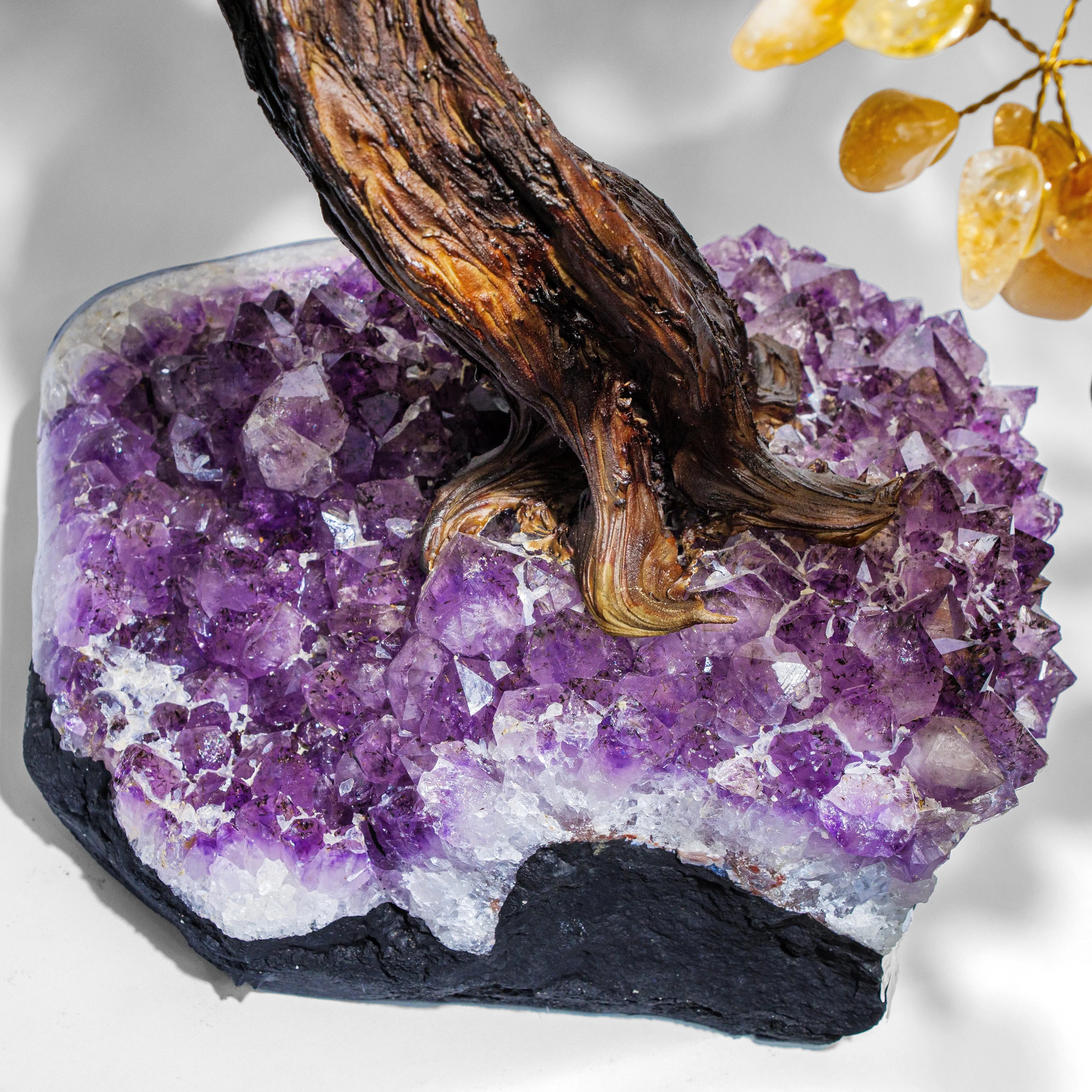 Base of Citrine Crystal Bonsai Tree with amethyst stones, symbolizing prosperity and positive energy.