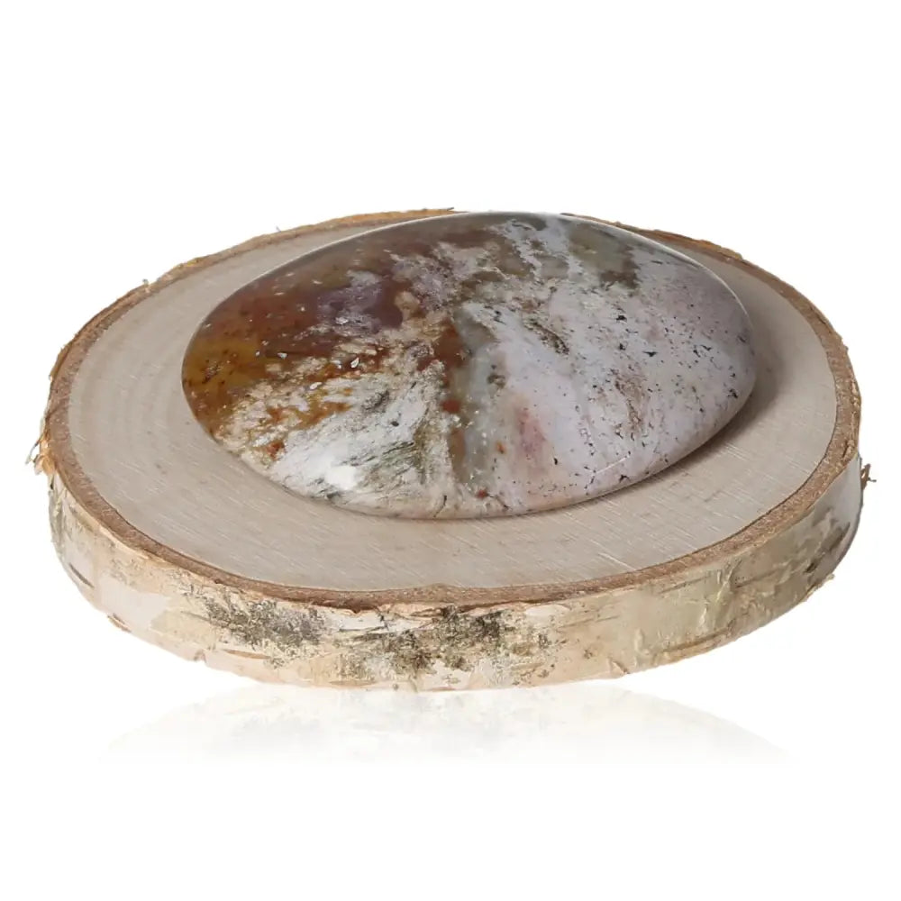 orbitvu|type:image2d