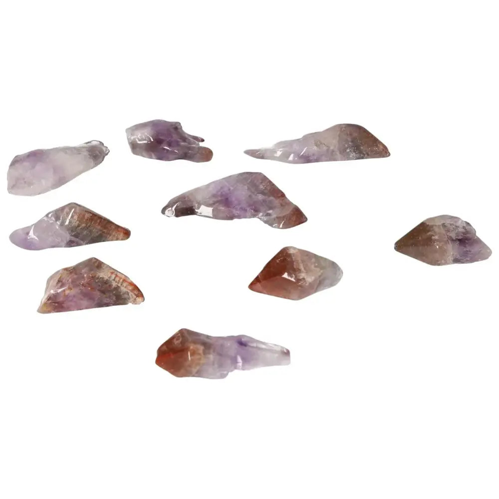 orbitvu|type:image2d