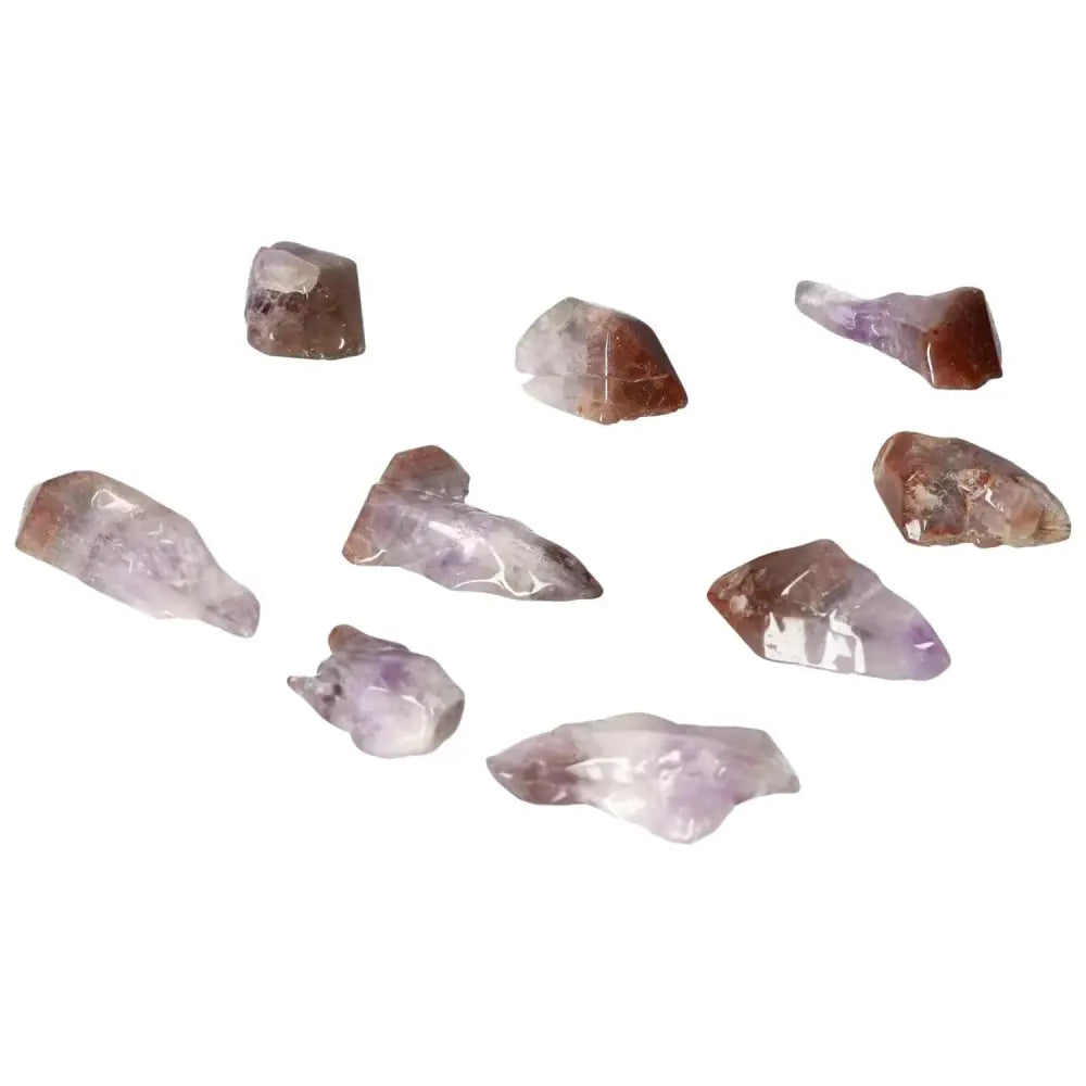 orbitvu|type:image2d