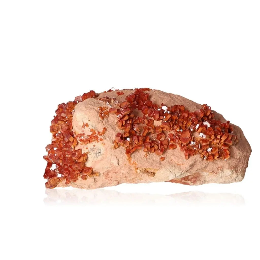Vanadinite Druze with vibrant red-orange crystals, perfect for enhancing focus and creativity in collectors and energy seekers.